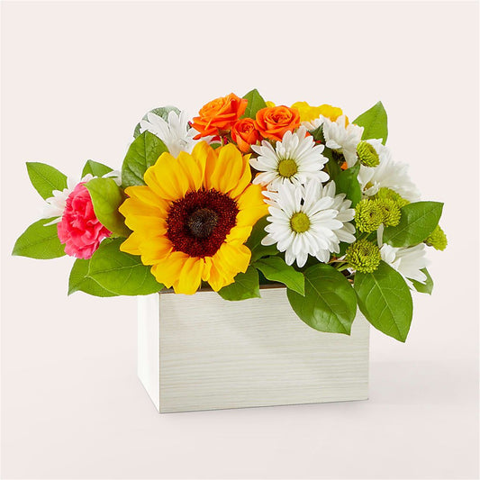 Sun - drenched Blooms Box Bouquet - Salem Florist