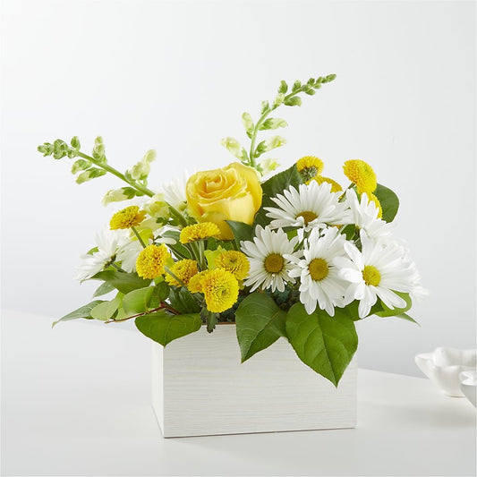 Sun Salutation Box Bouquet - Salem Florist